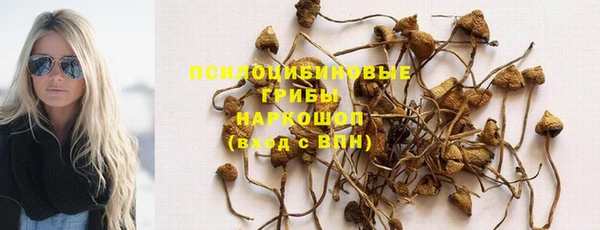 2c-b Арсеньев