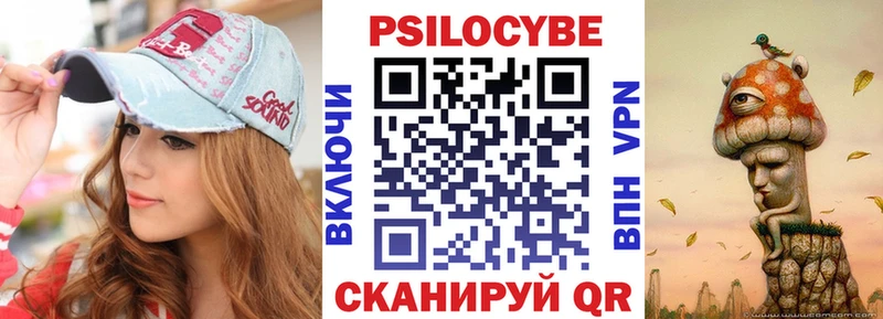 Купить  Горячеводский  Псилоцибиновые грибы мицелий 